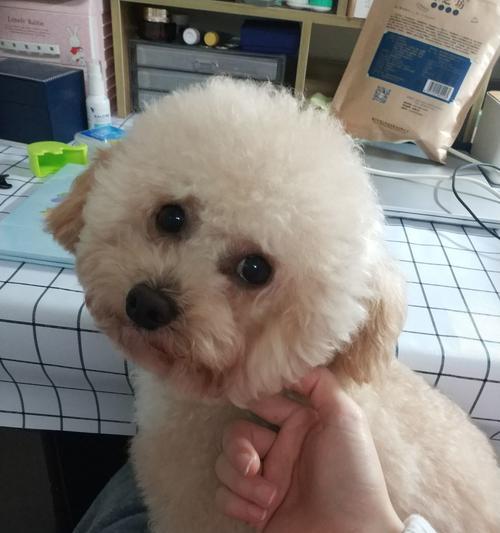 文章详情图片