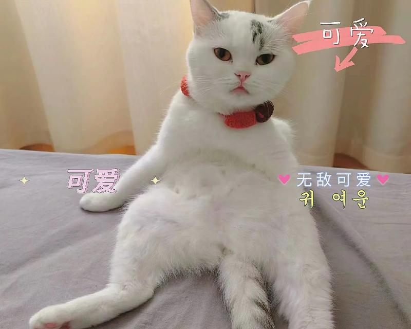 文章详情图片