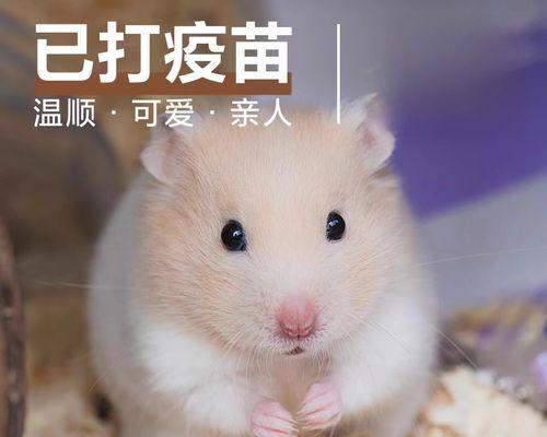 文章详情图片