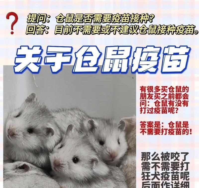文章详情图片