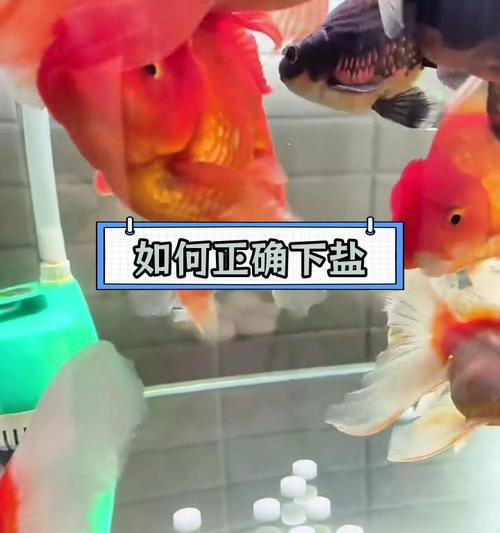文章详情图片