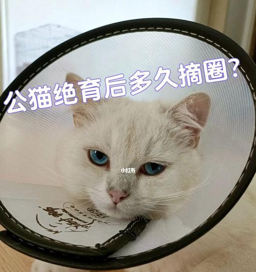 文章详情图片