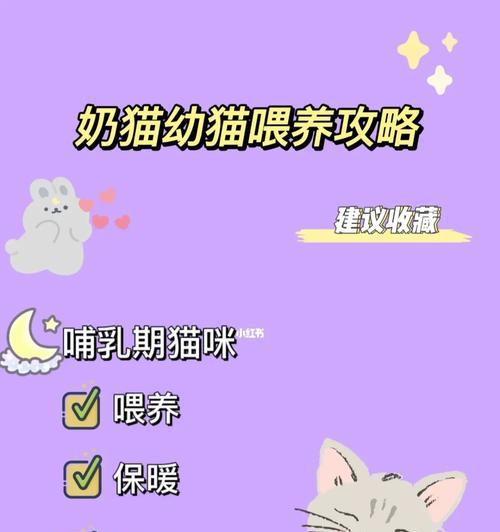 文章详情图片