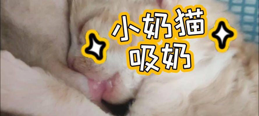 文章详情图片
