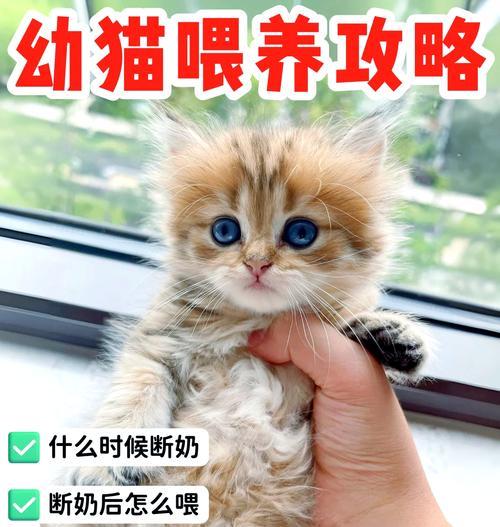文章详情图片