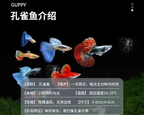 文章详情图片