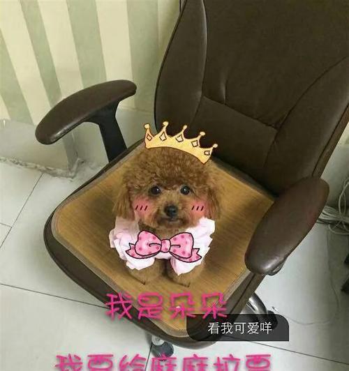 文章详情图片