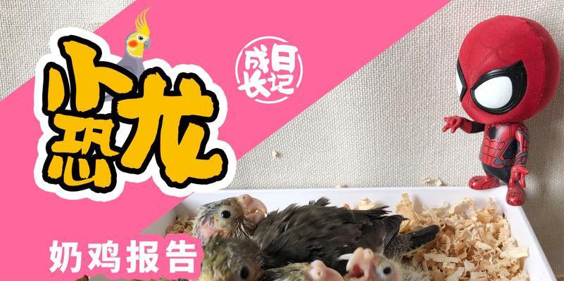 文章详情图片