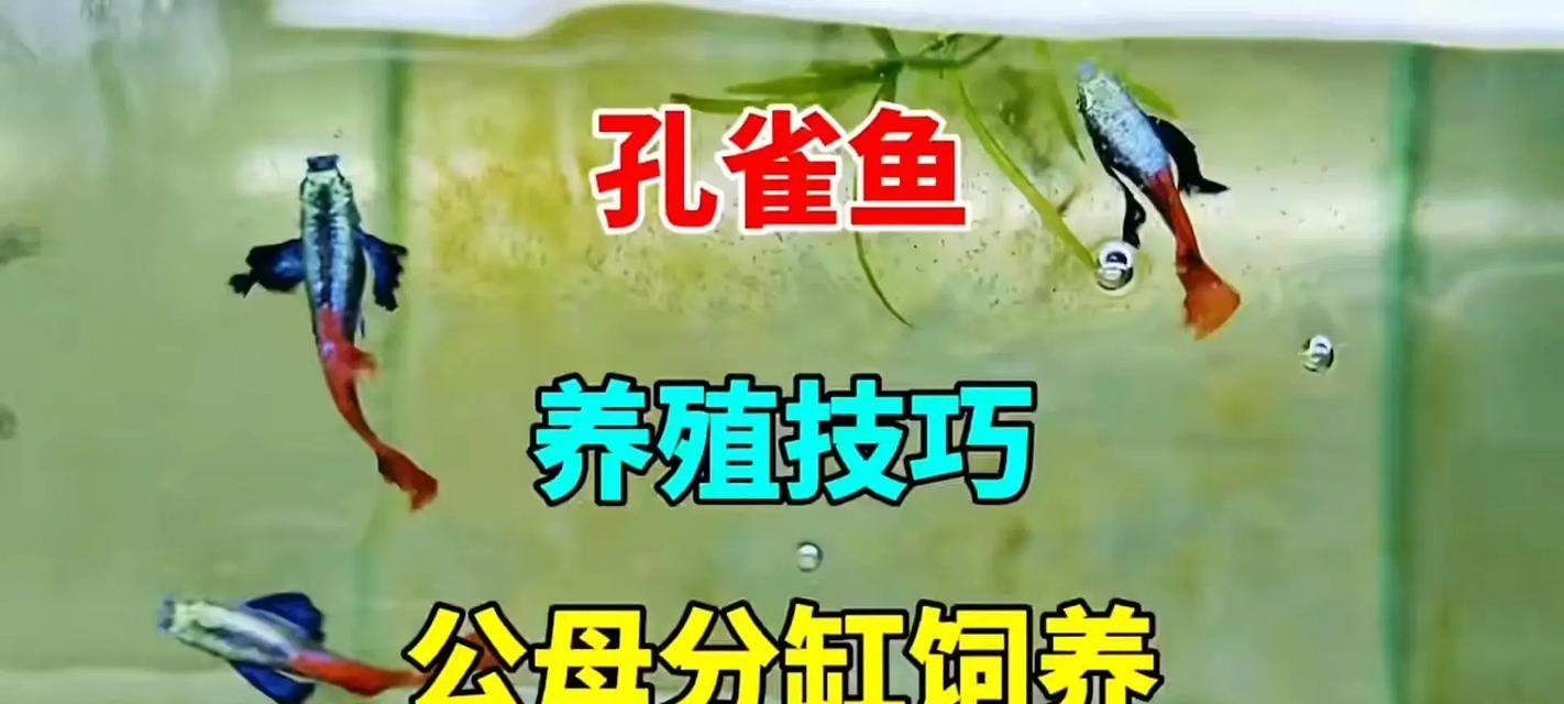 文章详情图片
