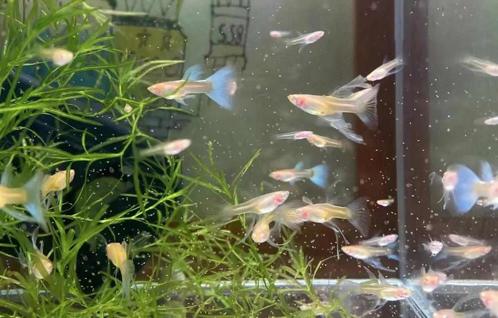 文章详情图片
