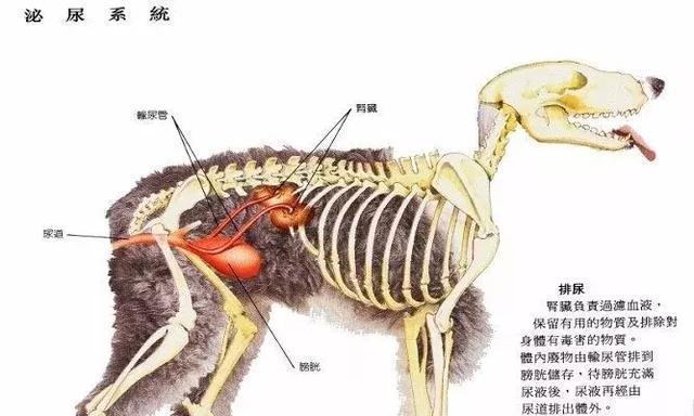 文章详情图片
