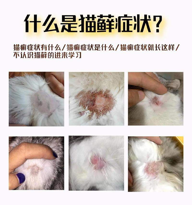 文章详情图片