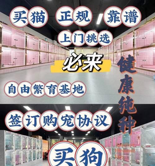 文章详情图片