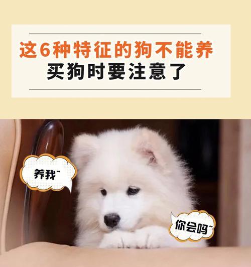 文章详情图片