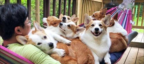 文章详情图片