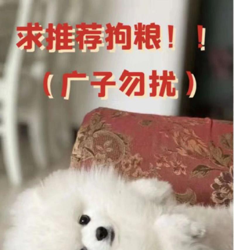 文章详情图片
