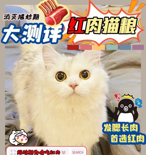 进口猫粮为什么断货？（探究进口猫粮断货背后的原因及解决方案）