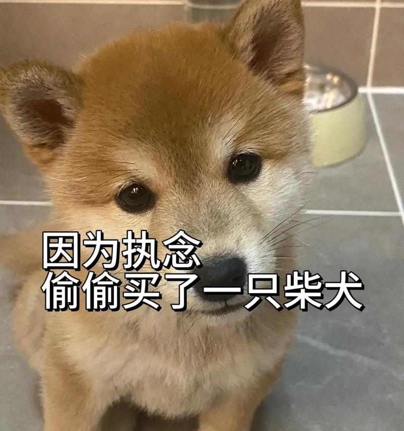文章详情图片