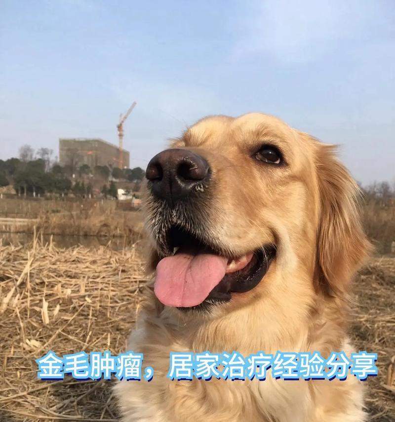 文章详情图片