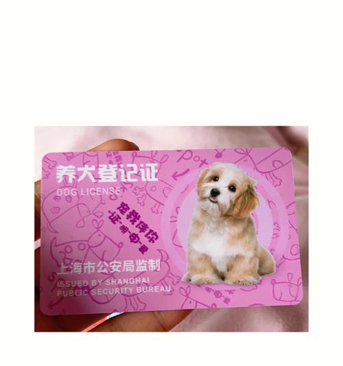 文章详情图片