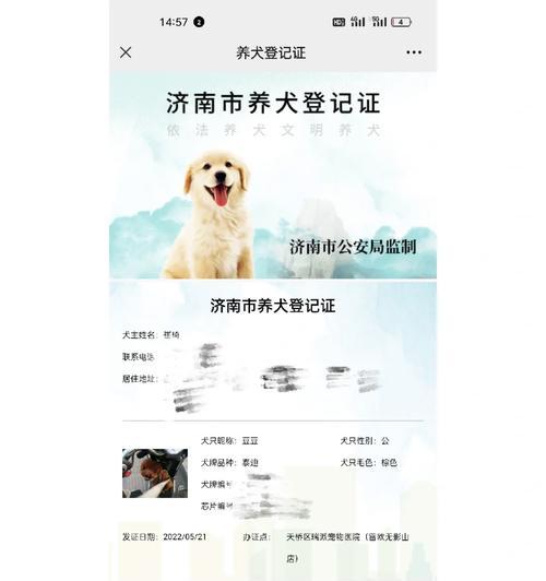 文章详情图片