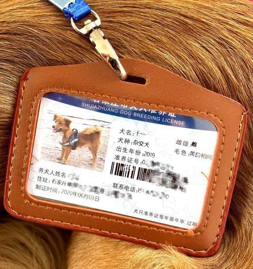 文章详情图片