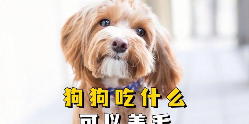 文章详情图片