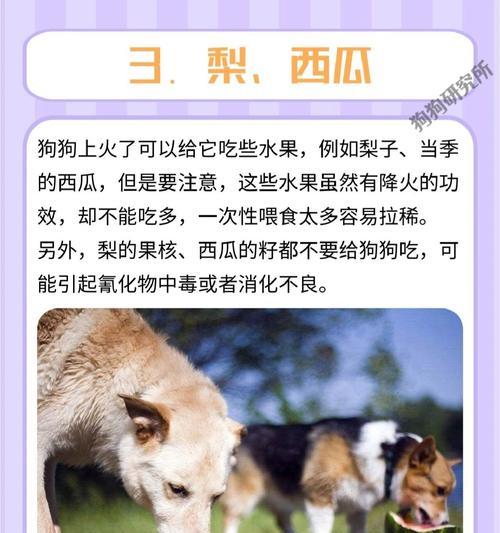 文章详情图片