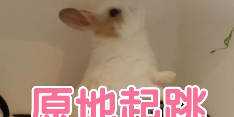 文章详情图片