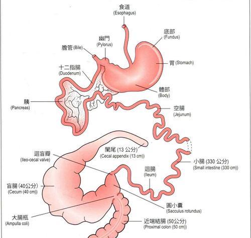 文章详情图片