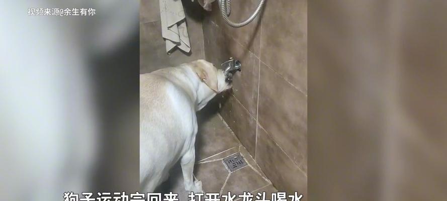 文章详情图片