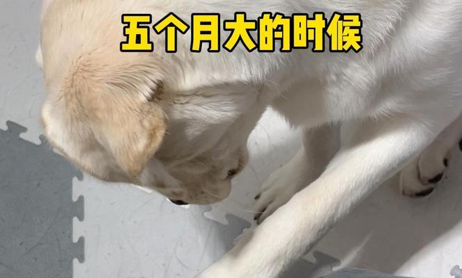 文章详情图片