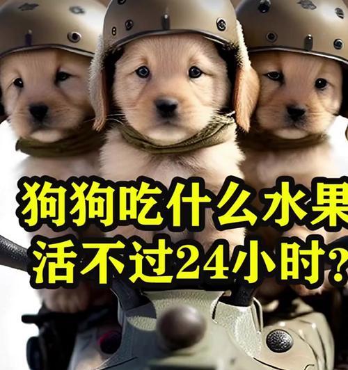 文章详情图片
