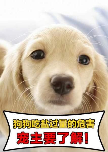 文章详情图片