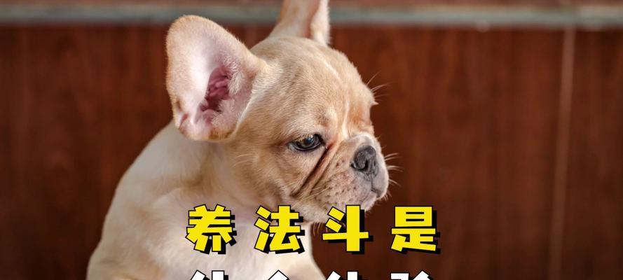 文章详情图片