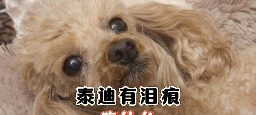 文章详情图片