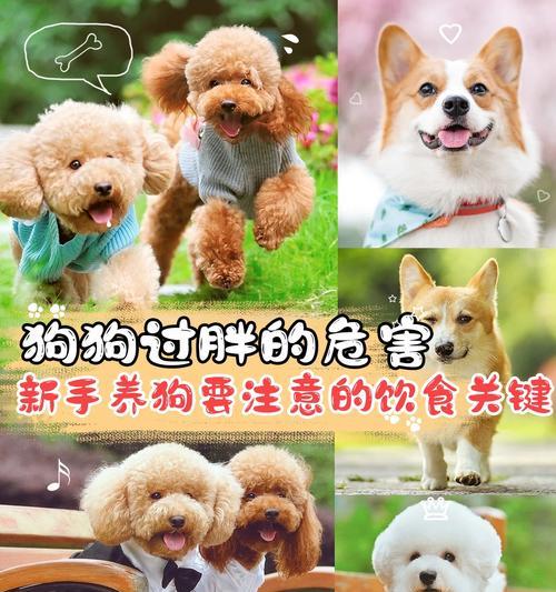 文章详情图片