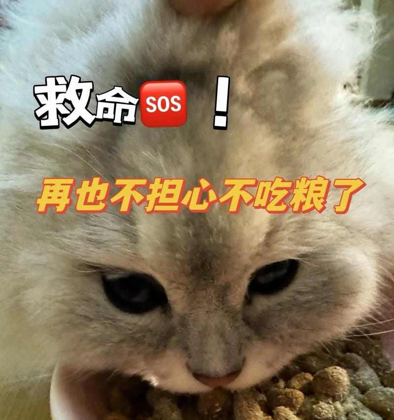 文章详情图片
