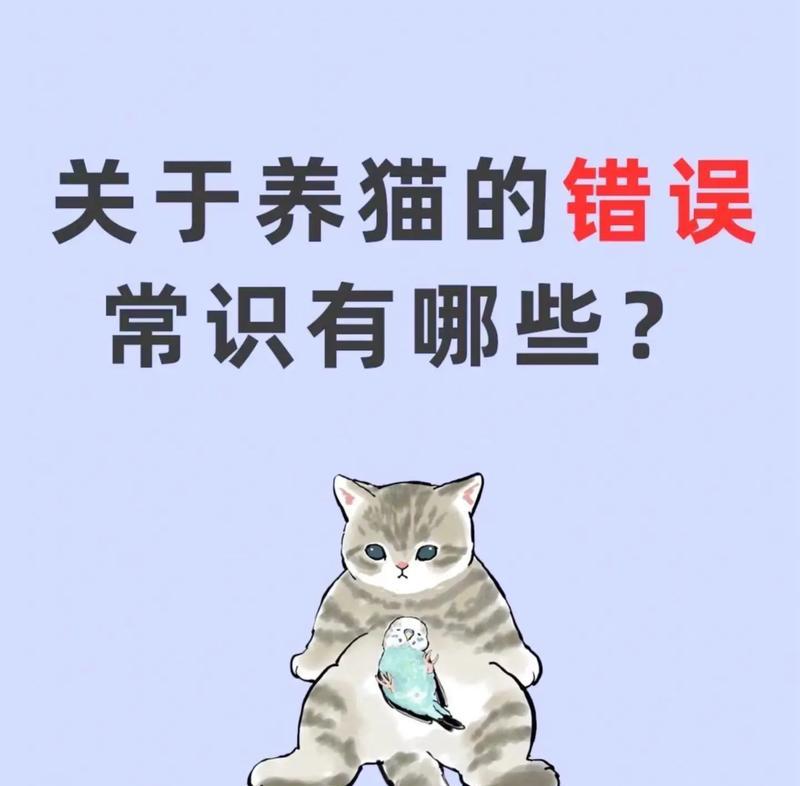 文章详情图片
