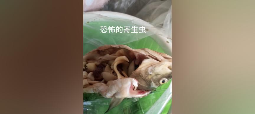 文章详情图片