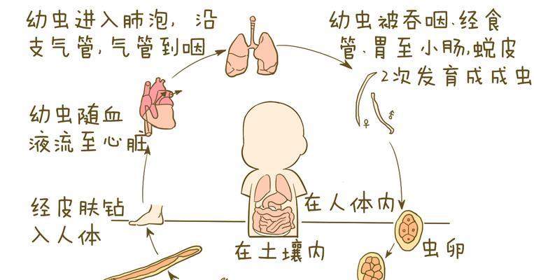 文章详情图片