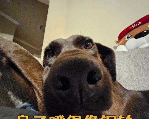 文章详情图片
