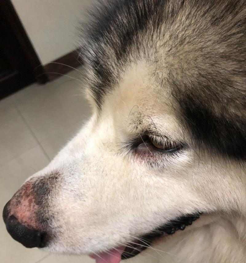 文章详情图片