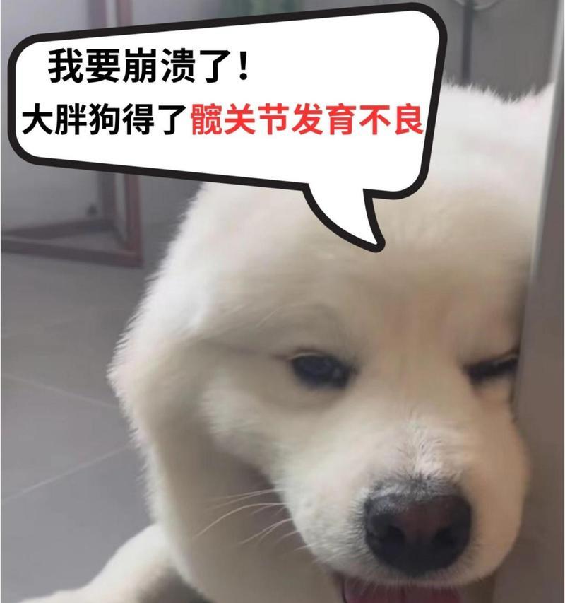 文章详情图片