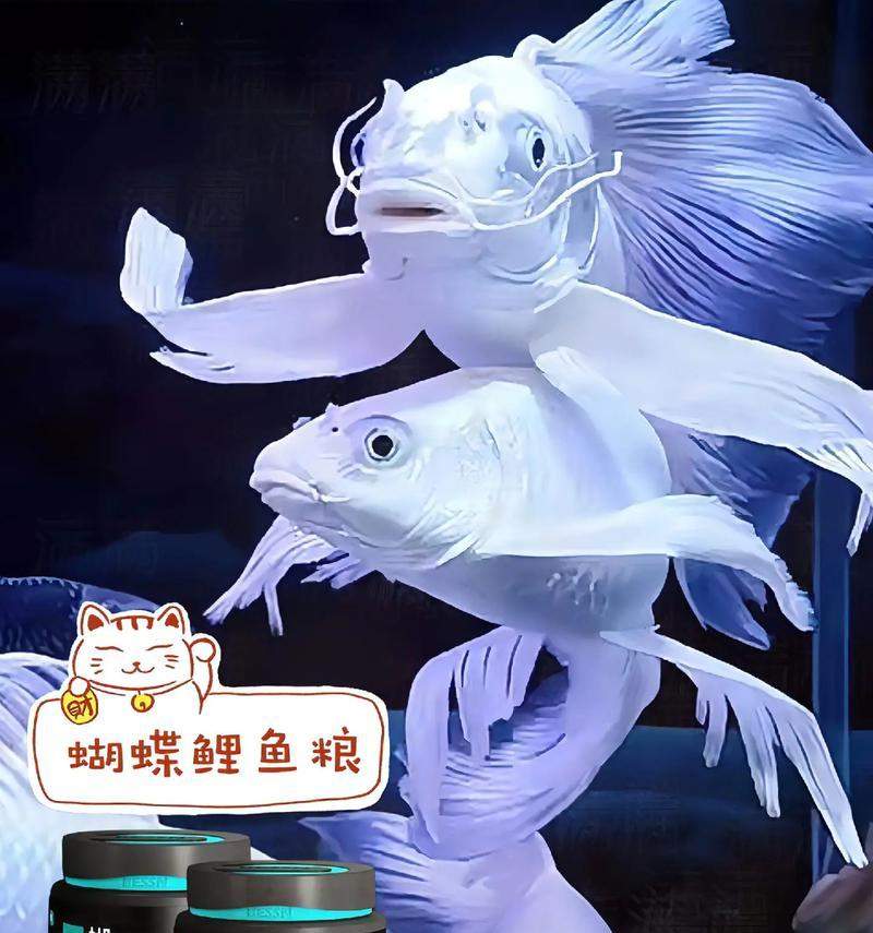 文章详情图片