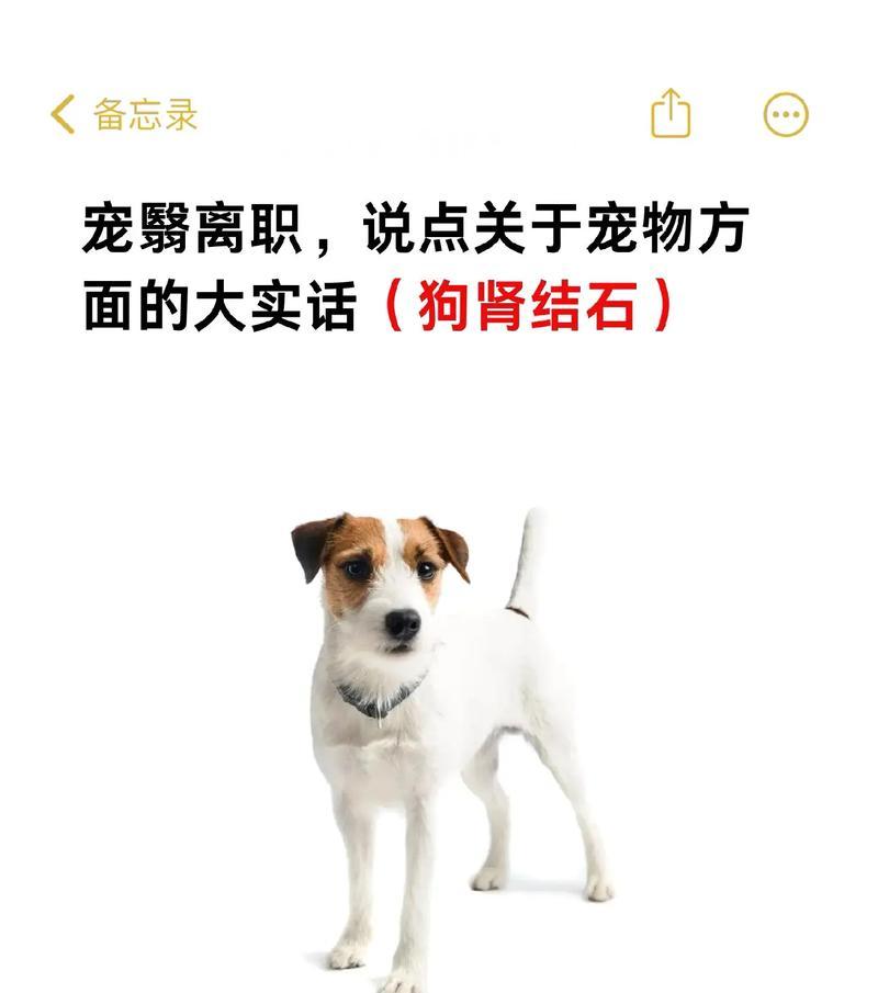 文章详情图片