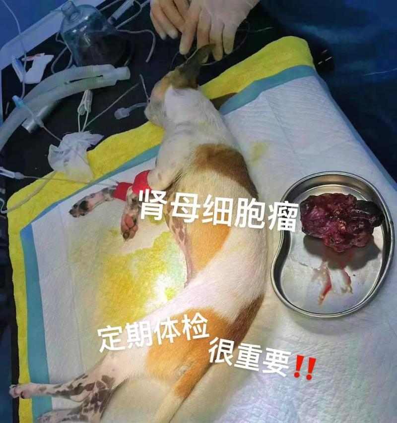 文章详情图片