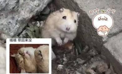 文章详情图片