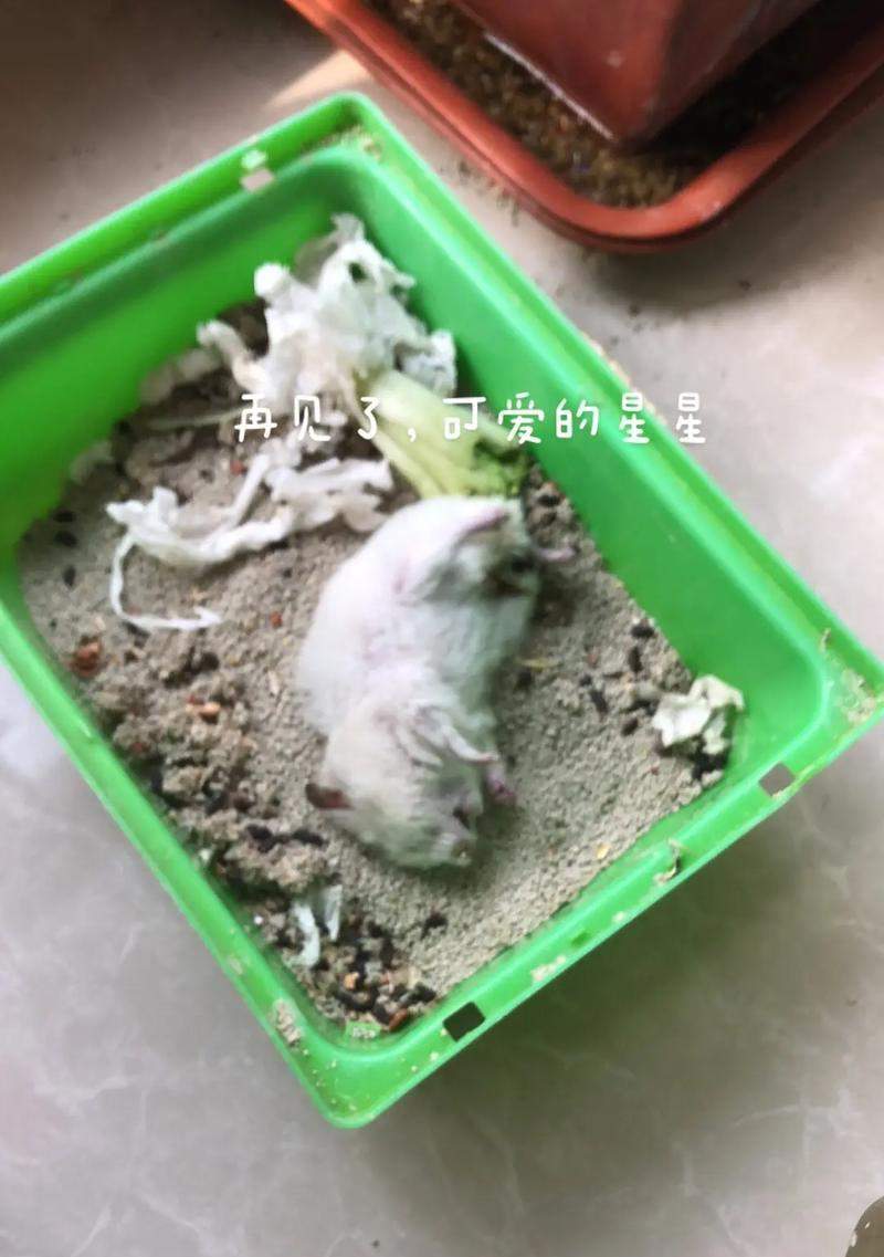 文章详情图片