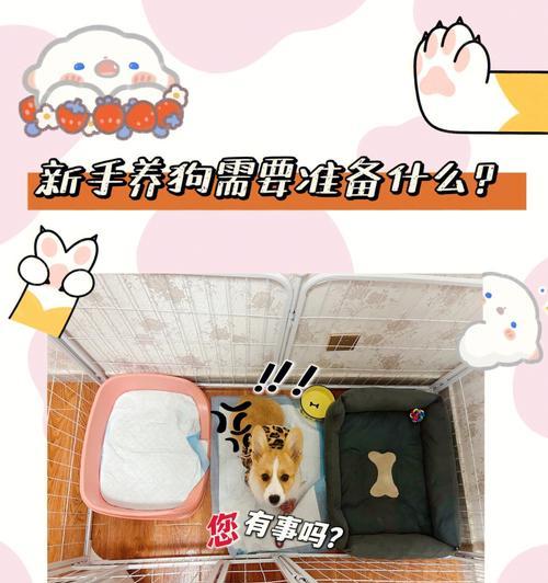 文章详情图片